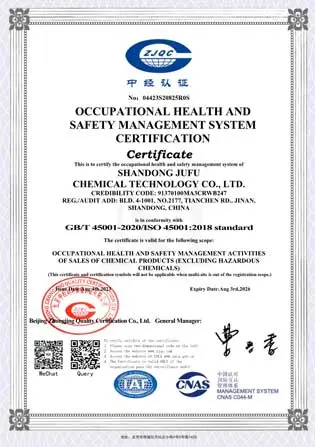occupational health and safety management system certification