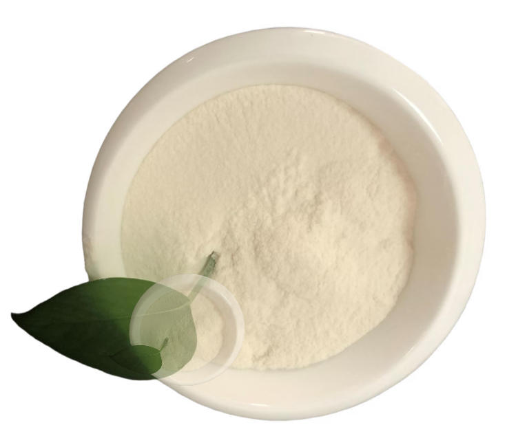 hydroxypropyl-methylcellulose-hpmc-the-invisible-core-of-dry-mix-mortar-systems.jpg hydroxypropyl-methylcellulose-hpmc-the-invisible-core-of-dry-mix-mortar-systems.jpg